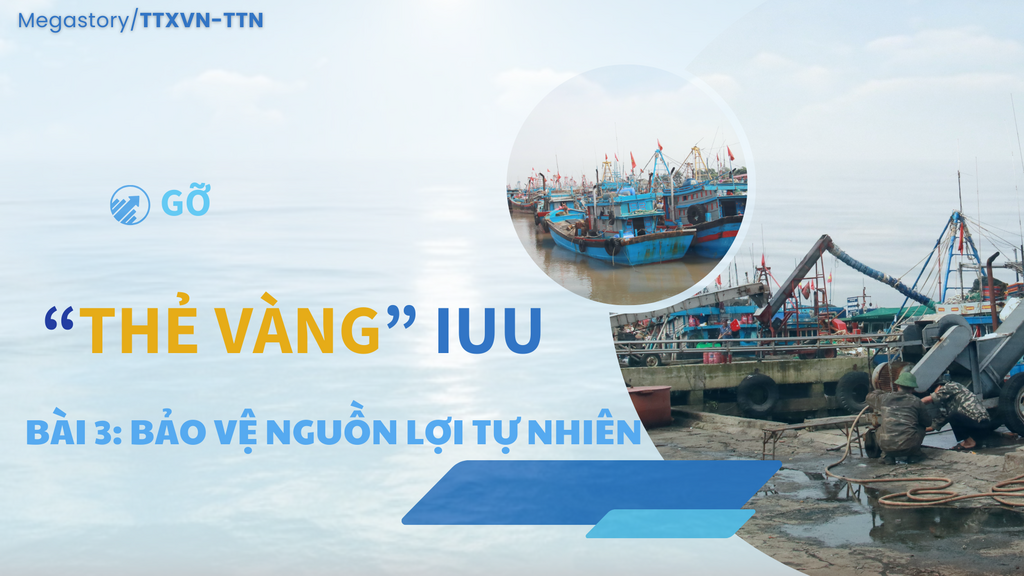 Hà Tĩnh quyết liệt tham gia gỡ cảnh báo “Thẻ vàng” của Ủy ban Châu Âu